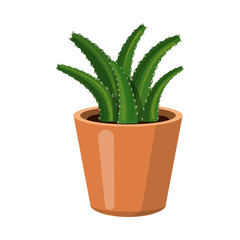 Isolated object of cactus and pot sign. Set of cactus and cacti stock symbol for web.