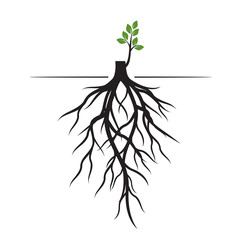 Tree Roots and germinate limb. Roots of plants. Vector Illustration.