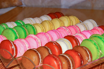 french macaroon colorful pastry