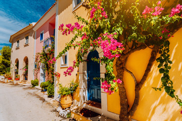 Traditional colorful greek houses in Assos village. Blooming fuchsia plant flowers growing around door. Warm sunlight. Kefalonia island, Greece