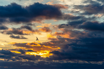Sonnenaufgang über der Ostsee #4