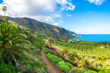 Landscape with North Tenerife coast, Canary island, Spain © Balate Dorin