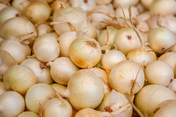 Obraz na płótnie Canvas Fresh onions. Onions background. Ripe onions
