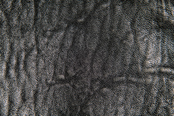 Leather texture