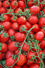 Ripe red tomatoes, background of tomatoes