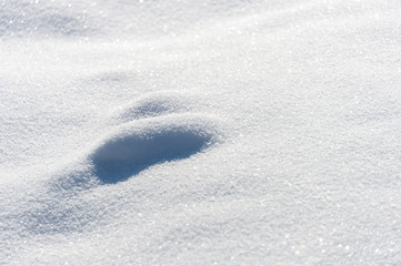 snow, white background