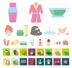 Spa salon and equipment cartoon,flat icons in set collection for design. Relaxation and rest vector symbol stock web illustration.
