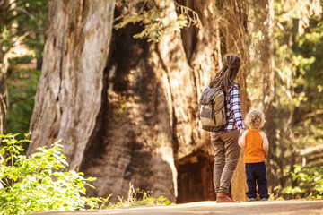 Mother with toddler visit Yosemite national park in California, USA