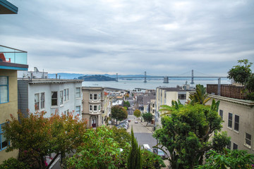 Fototapeta na wymiar urban houses in San Francisco