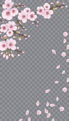 Handmade background in oriental style. Design element for fabric, invitations, packaging, cards, story. Pink on transparent background. Flying sakura flowers.