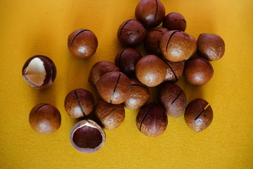 macadamia nuts isolated on yellow background