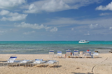 Palm trees, sea, beach.