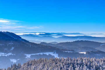 Blick auf die Vogesen
