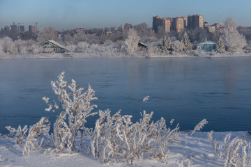 Obraz premium Frost on the grass by the river