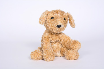 Soft toy dog on a light background