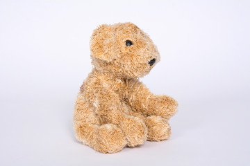 Soft toy doggie isolated on light background