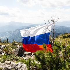 Flag of Russia is tied to tree on top of mountain. Flag develops from wind.