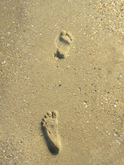 Imprints of human feet on clean wet sand. Walk along the beach along the seashore. Clear deep traces of the feet of the girl. Close-up.