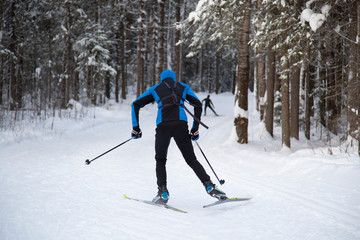 cross country skier