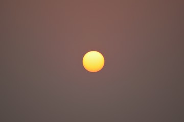 Nature background shining early morning Sun