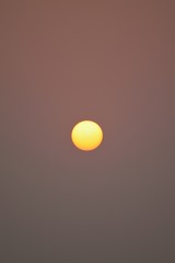 Nature background shining early morning Sun