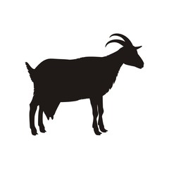 Профиль козы