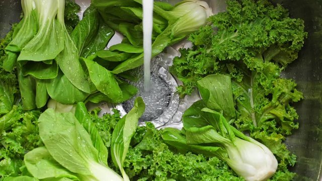 Washing in water in sink green kale and pok choy cabbage leaves in kitchen, organic healthy food