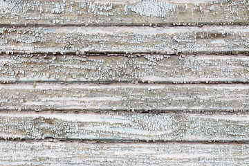 Old wood texture background, the wall of an old house lined with wooden planks of faded and peeling paint