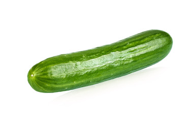fresh cucumber on white background