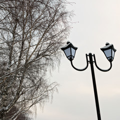 lamppost and the birch tree against the gray sky