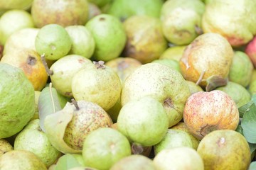 Fresh Guava fruits at street side vegetable market in India