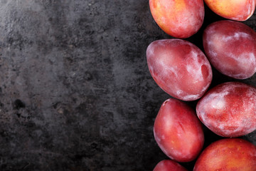 ripe plum on a dark background