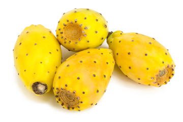 yellow prickly pear or opuntia isolated on a white background