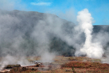 old geyser in national park
