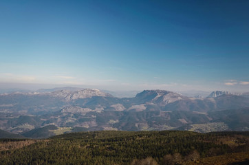  Beautiful forest for different uses