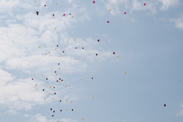 Balloons in the sky