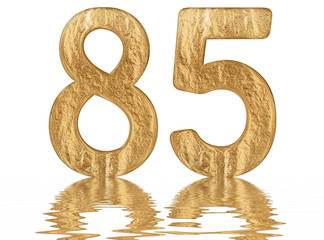 Numeral 85, eighty five, reflected on the water surface, isolated on  white, 3d render