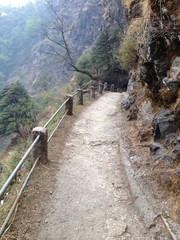 Trekking from Gangotri to Gomukh the source of Mother Ganga