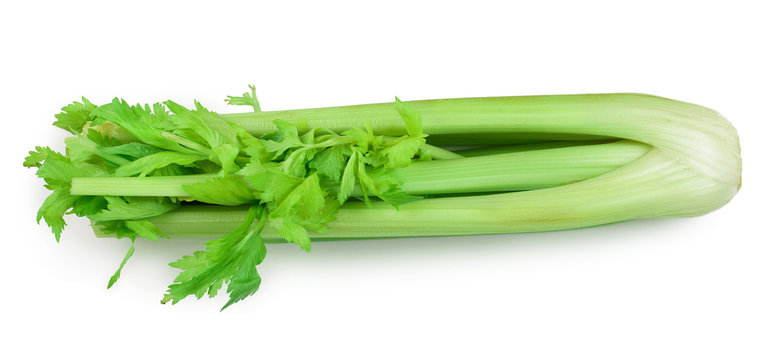 fresh celery isolated on white background.Top view. Flat lay