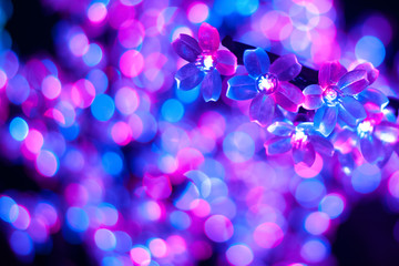 abstract background with bokeh, light flower