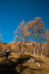 Fototapeta premium trekking