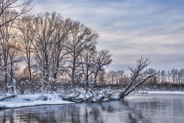 Naklejka na ściany i meble Snowy frozen landscape of sunrise on lakeside with trees