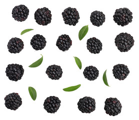 Blackberries isolated on white, top view