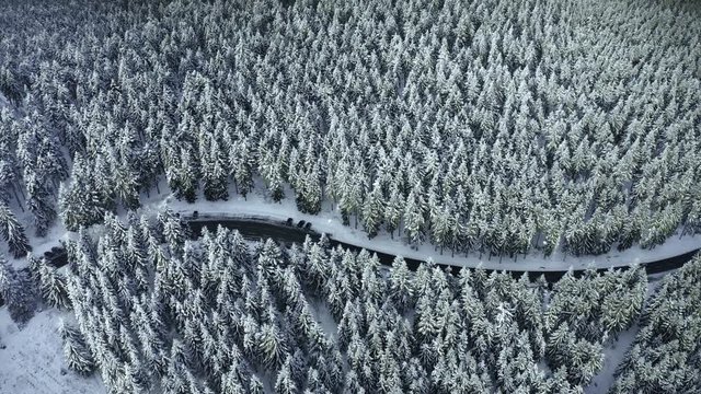 Aerial view, flight over snowy trees from above in winter, Taunus, Hesse, Germany