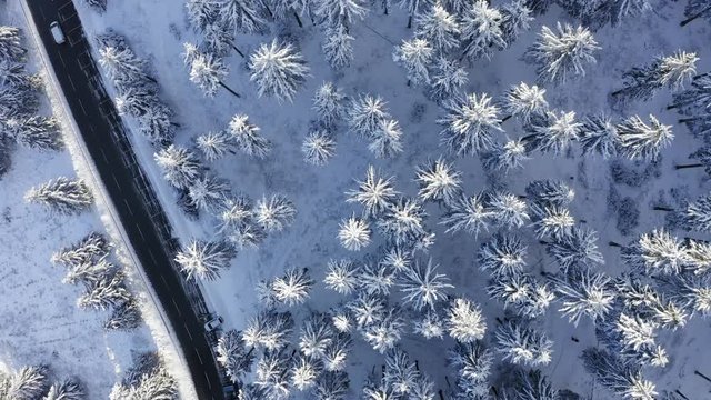 Aerial view, flight over snowy trees from above in winter, Taunus, Hesse, Germany