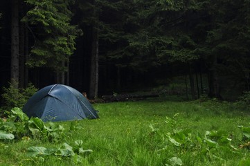 Tent in the forest , internal atmosphere