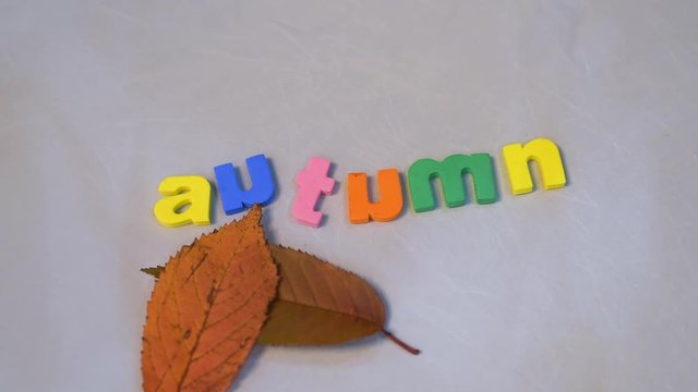 Word autumn on white background with yellow fall leaves.