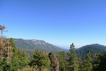 Fototapeta na wymiar Sequoia National Park mountain landscape, California, USA