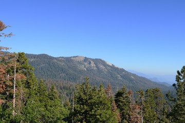 Beautiful landscape in Sequoia National Park, California, USA