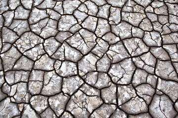 Gray dry soil or cracked ground texture background. Takyr